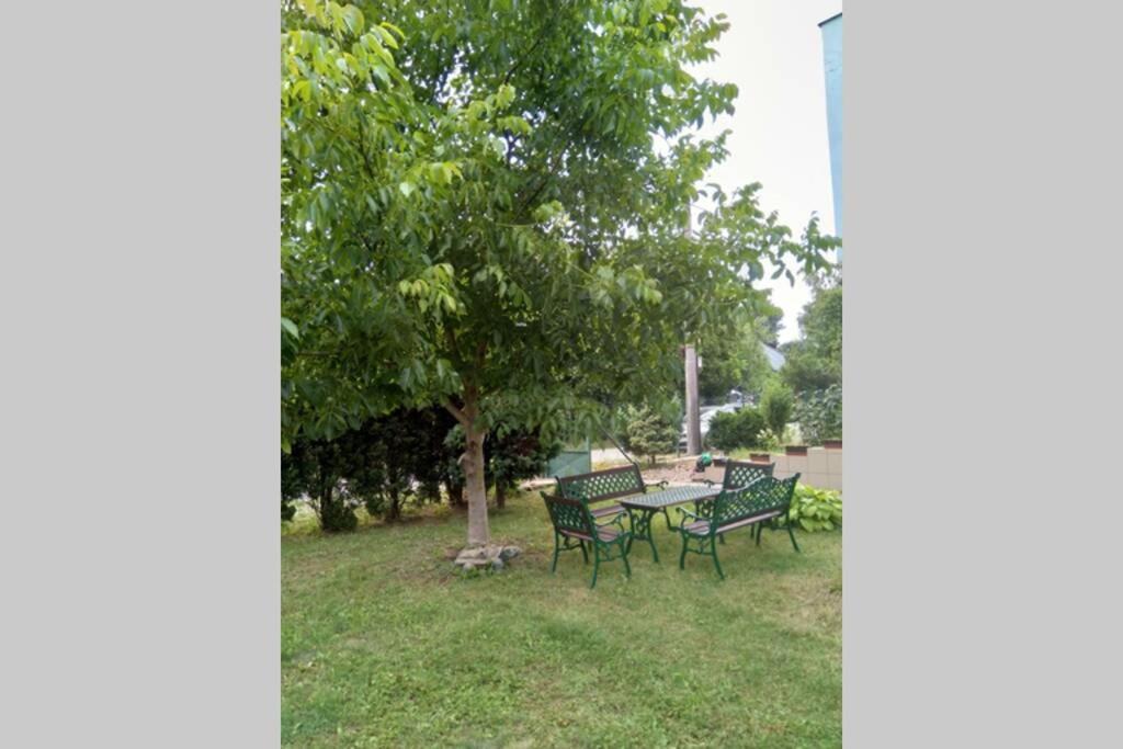 Rodinný apartmán s posedením pod košatým orechom. Trávnica Exterior foto