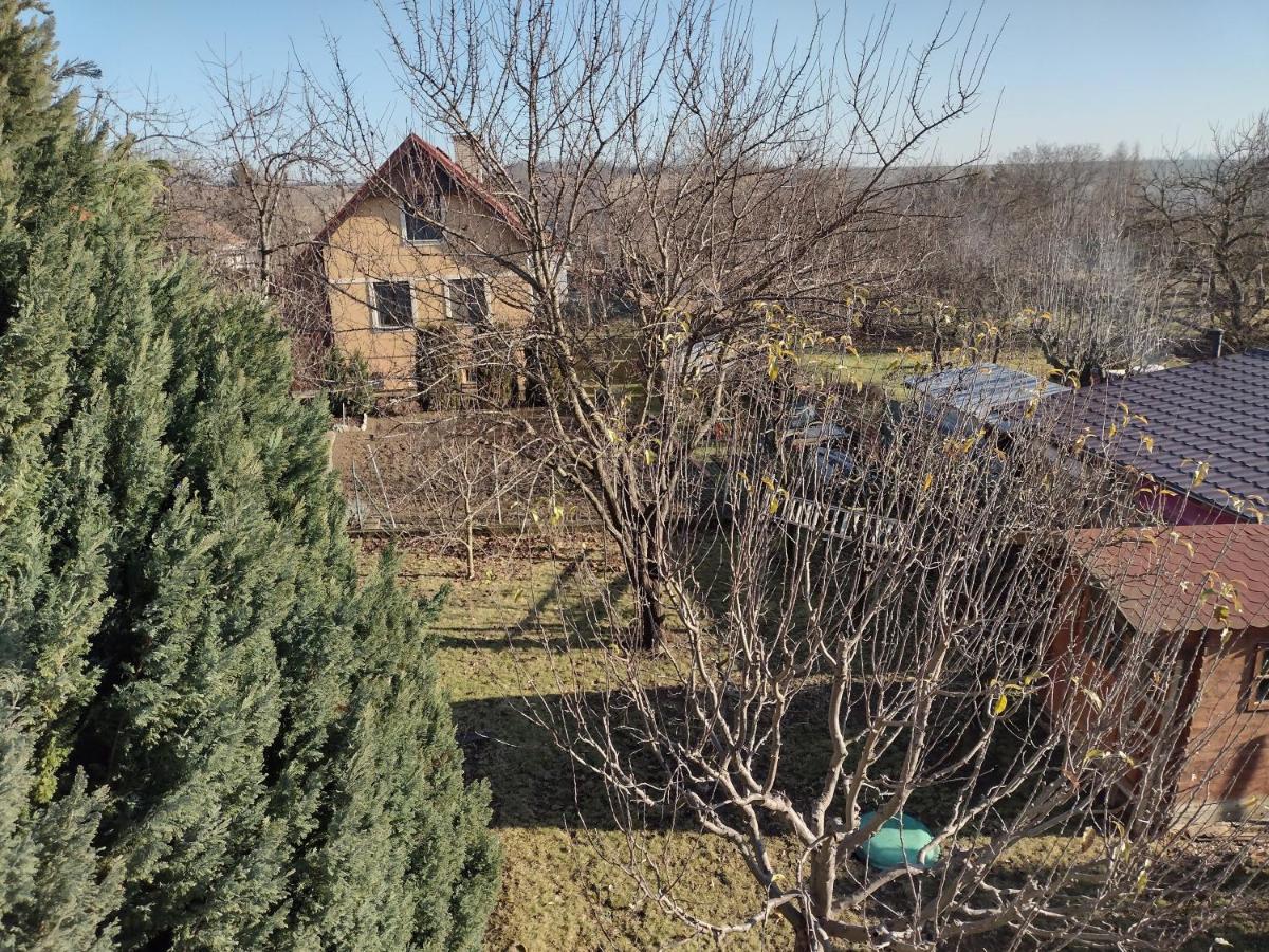 Rodinný apartmán s posedením pod košatým orechom. Trávnica Exterior foto